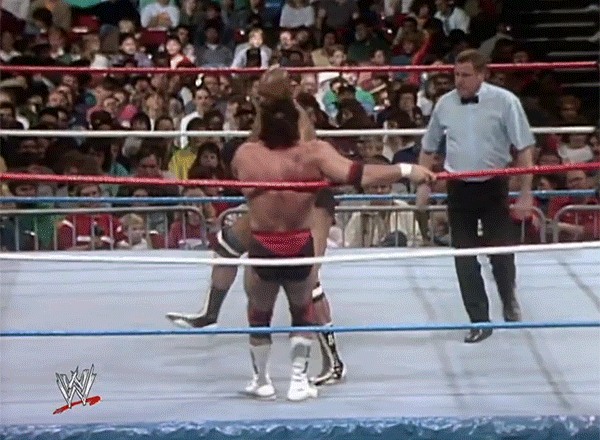 Bad News Brown WWF Debut