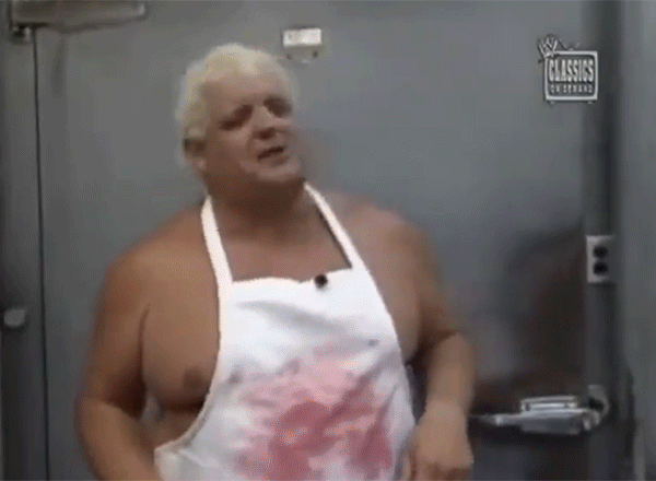 Dusty Rhodes Americana American Dream Vignettes WWF