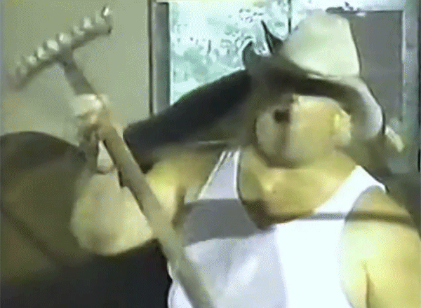 Dusty Rhodes Americana American Dream Vignettes WWF
