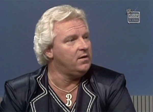 Dusty Rhodes Americana American Dream Vignettes WWF