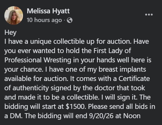 Missy Hyatt implant for sale