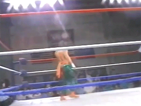 Sabu Jim Neidhart The Anvil