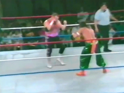 Sabu Jim Neidhart The Anvil