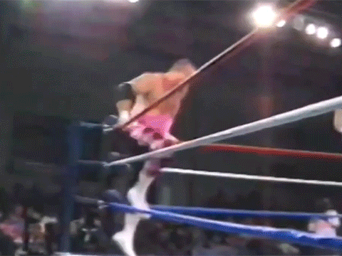 Sabu Jim Neidhart The Anvil