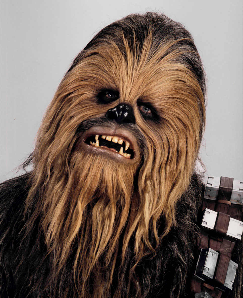 Chewbacca head shot