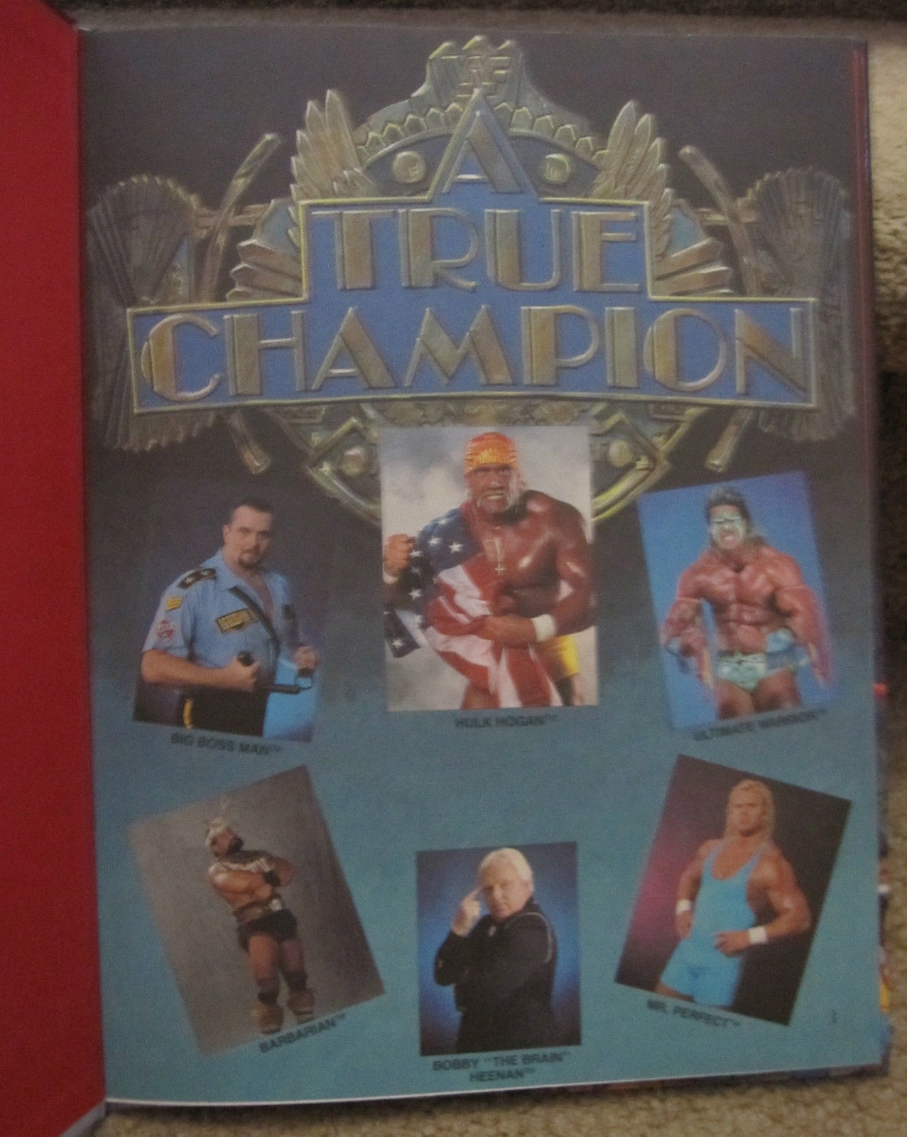 Hulk Hogan A True Champion book back