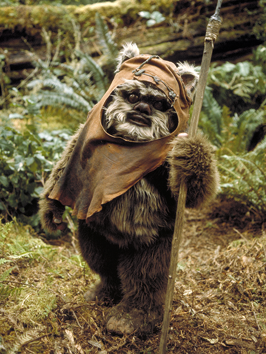 Wicket on Endor Star Wars Return Of The Jedi