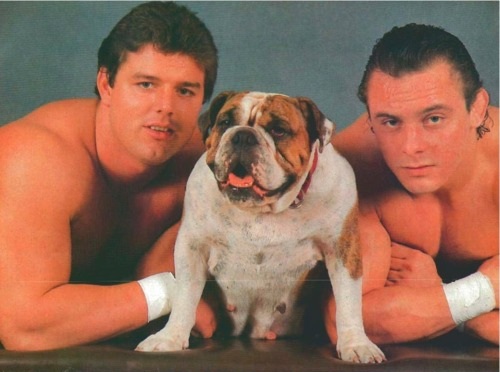 The British Bulldogs' with Matilda The Dog