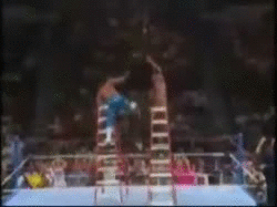 Resultado de imagem para shawn michaels ladder botch gif