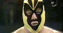 INDUCTION: The Bee Family – Is that Brunzell or JYD?  MASKED CONFUSION INDEED!