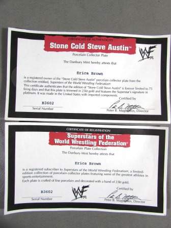 Stone Cold Steve Austin Plate 4