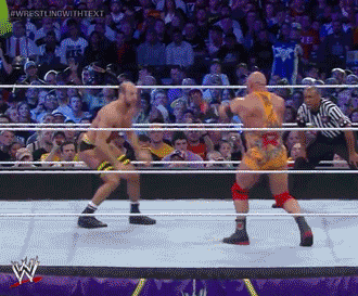 [IMAGE:https://www.wrestlecrap.com/wp-content/uploads/2016/01/uppercut.gif]