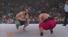 Induction: The WWF Sumo Match – Yoko and Quake battle for squatter’s rights