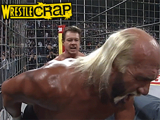 ageinthecage-12.gif