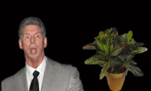 Headlies: Mitch The Plant Granted His Release From WWE