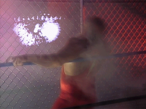 wg95-02.gif